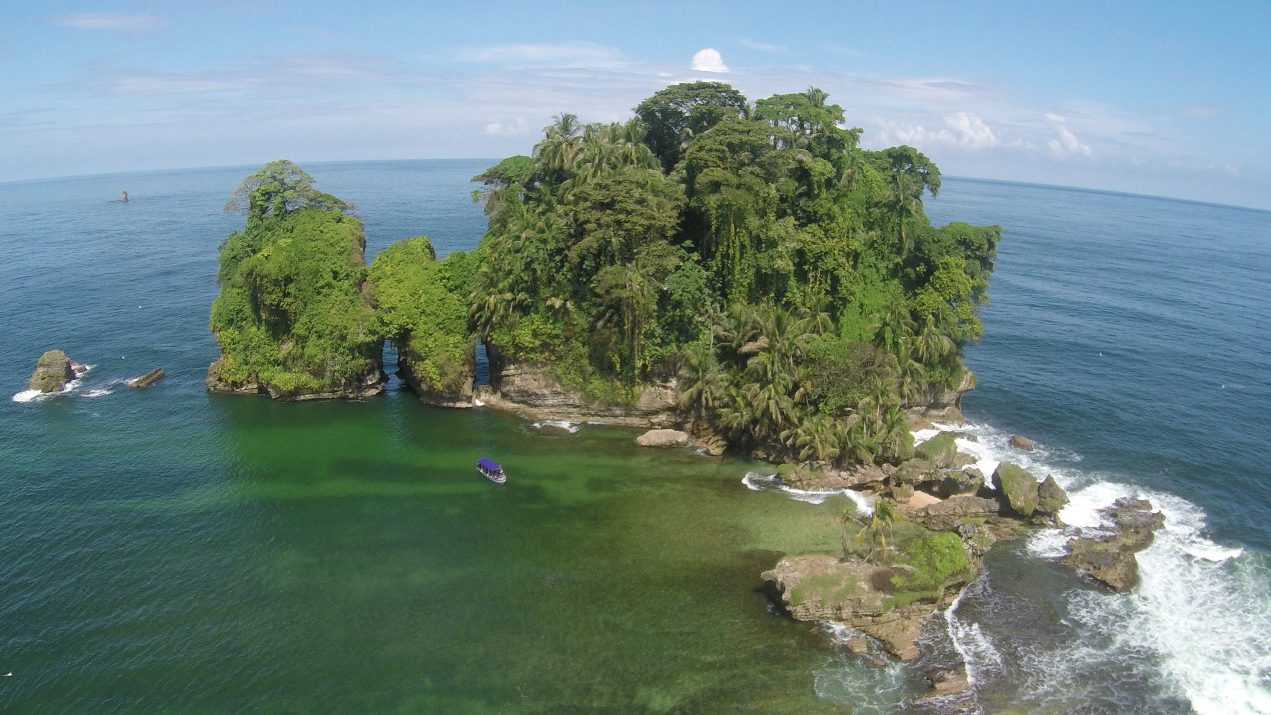 La biodiversidad de Bocas del Toro