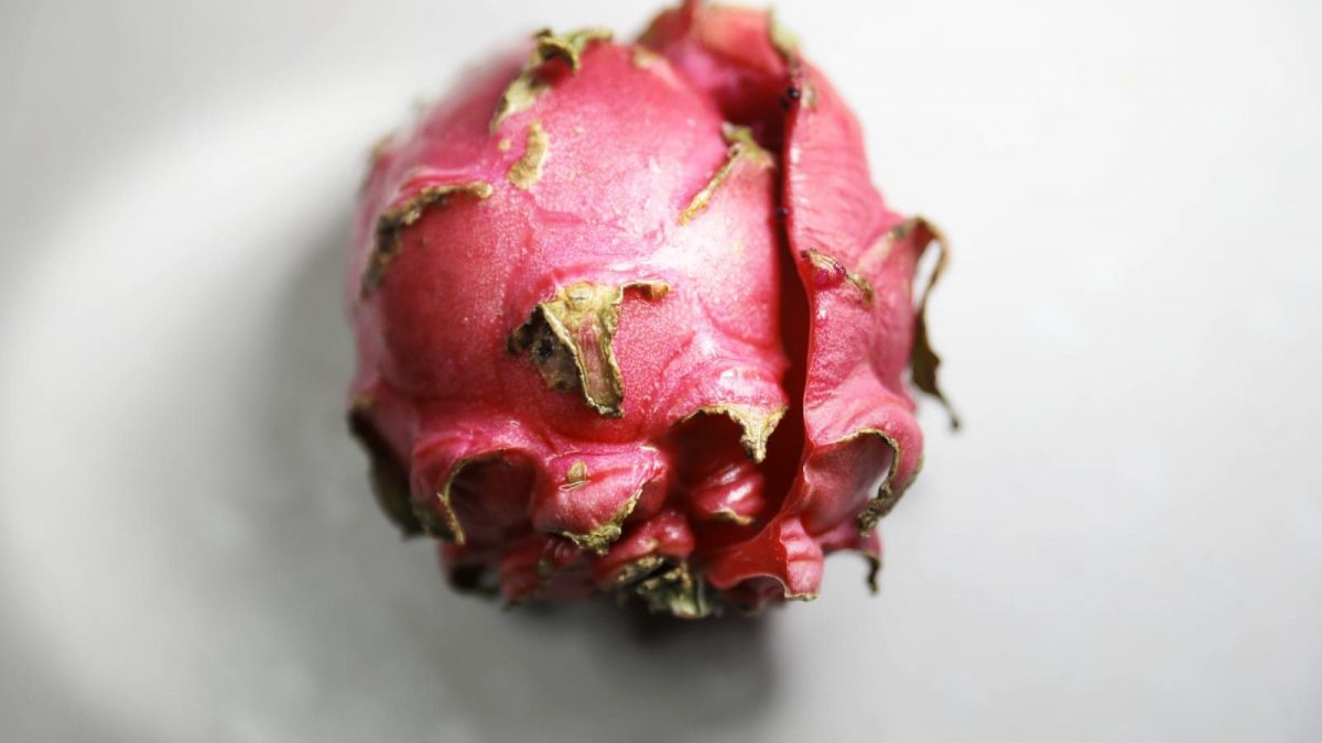 La Pitahaya, La Nueva Fruta De Moda En Panamá - Voyager Magazine